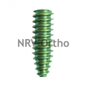 INTERFERENCE SCREW1