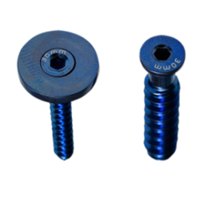 LOW-PROFILE CANCELLOUS SCREWS